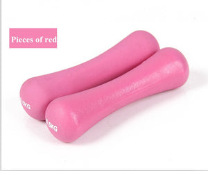 Plastic dip in dumbbell for women fitness 0.5kg dumbbells  for body exercise slimming