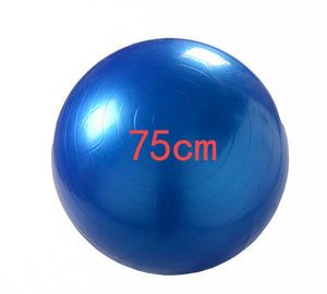 multi-use burst proof pvc exercise Yoga ball Gym center indoor use training fitness balls